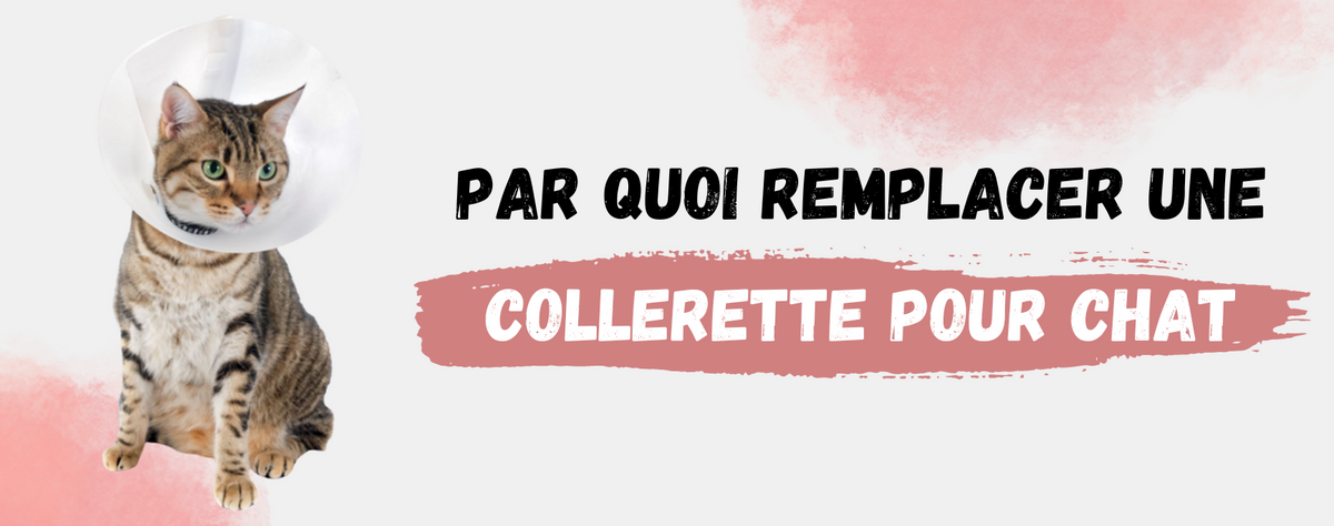 Chaussette pour discount chat après opération