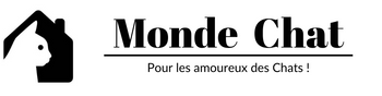 Monde Chat