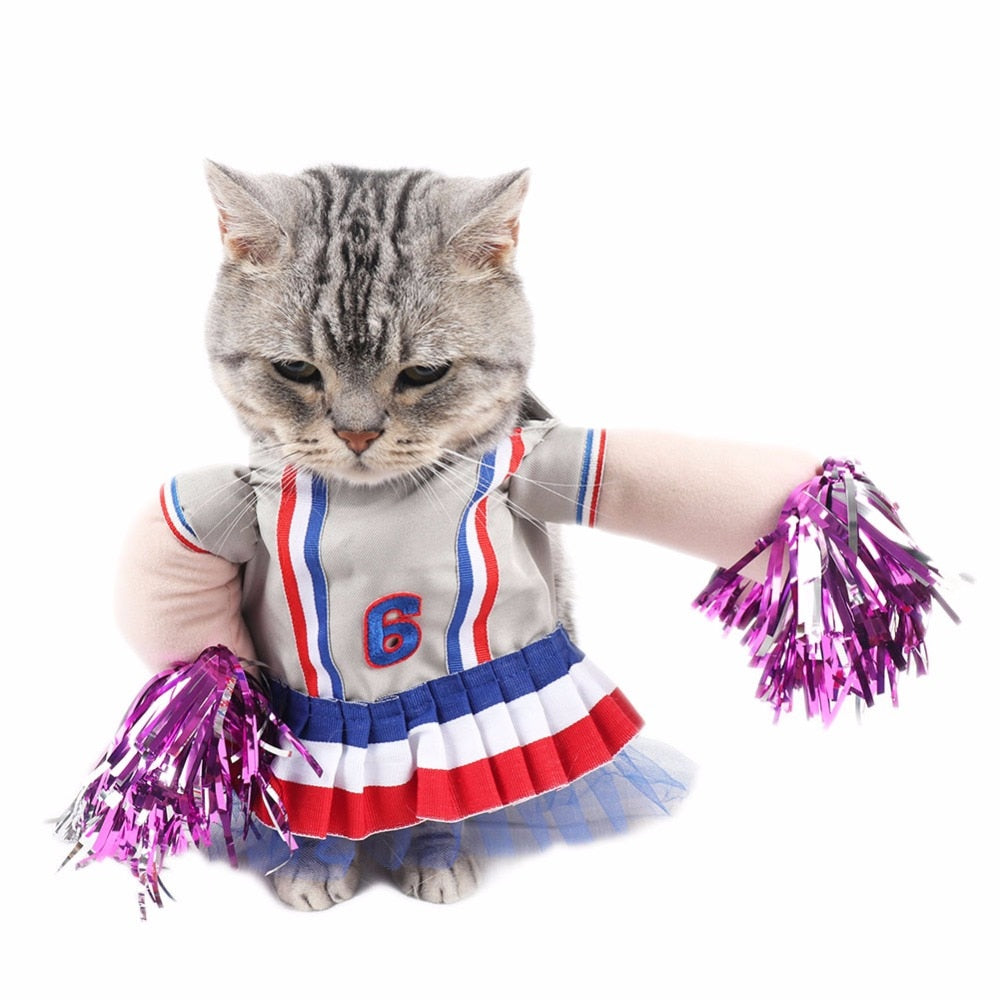 Déguisement Chat - Achat Costumes Déguisement Chat - Achat Costumes