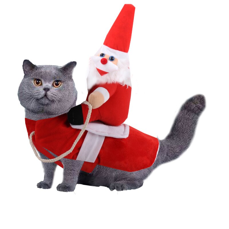 Père Noël Tenue Chat Costume Pour Chat Père Noël Monde Chat