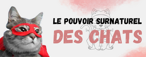 Le pouvoir surnaturel des chats