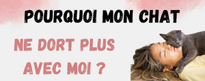Pourquoi mon chat ne dort plus avec moi ?