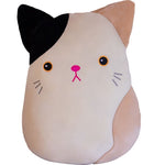Peluche Chat Rond
