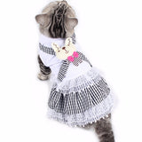 Costume pour Chat Chaton