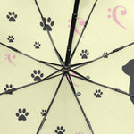 Parapluie Chat Traces