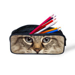 Trousse Chat Chaton Curieux