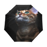 Parapluie Chat Pleine Nuit