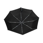 Parapluie Chat Pleine Nuit