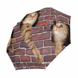 Parapluie Chat Façade