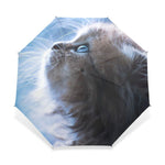 Parapluie Chat Regard