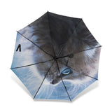 Parapluie Chat Regard