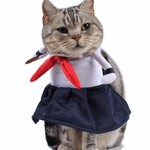 Costume pour Chat Cosplay