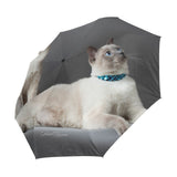 Parapluie Chat Siamois