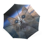 Parapluie Chat Effrayé