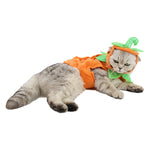 Costume pour Chat Citrouille d'Halloween