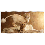 Serviette Chat Sans Poil