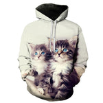 Pull 2 Chatons