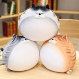 Peluche Gros Chat