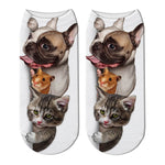 Chaussettes Chat Compagnons