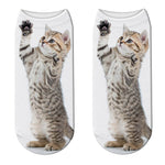 Chaussettes Chat Chasse