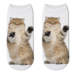 Chaussettes Chat Gros Chat