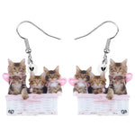 Boucles d'Oreilles Chat dans Panier